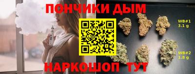 прущие грибы Прохладный